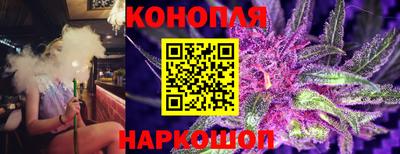 эйфоретик Малгобек