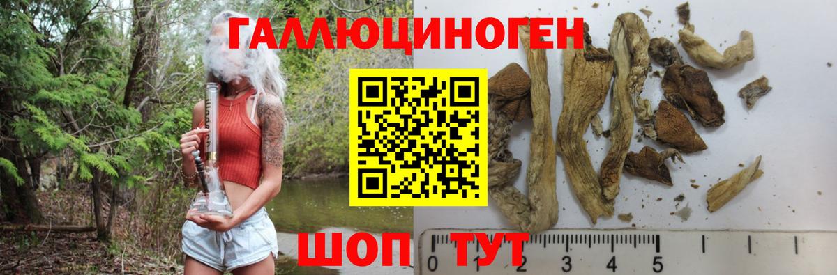 Галлюциногенные грибы Psilocybe Грязи