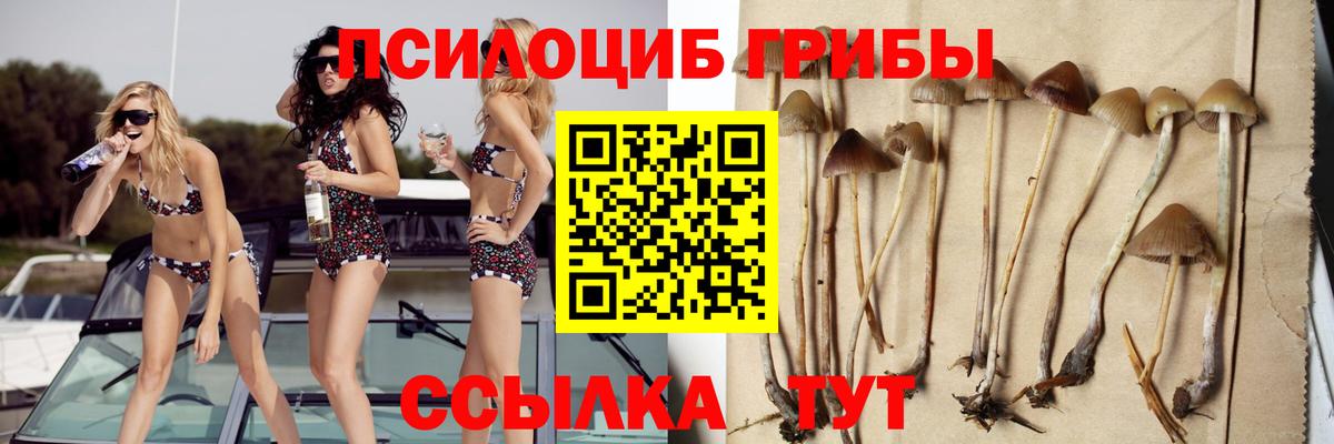 купить наркоту  Вход с VPN  Грязи  Галлюциногенные грибы Cubensis 